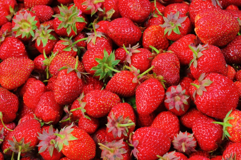 primeur-GUILLAUMES-min_strawberries-528791